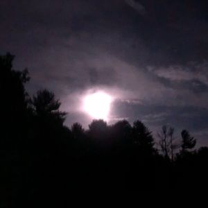 Meet your Posher, Sabrina